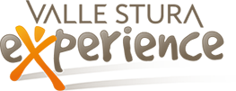 logo vallestura experience