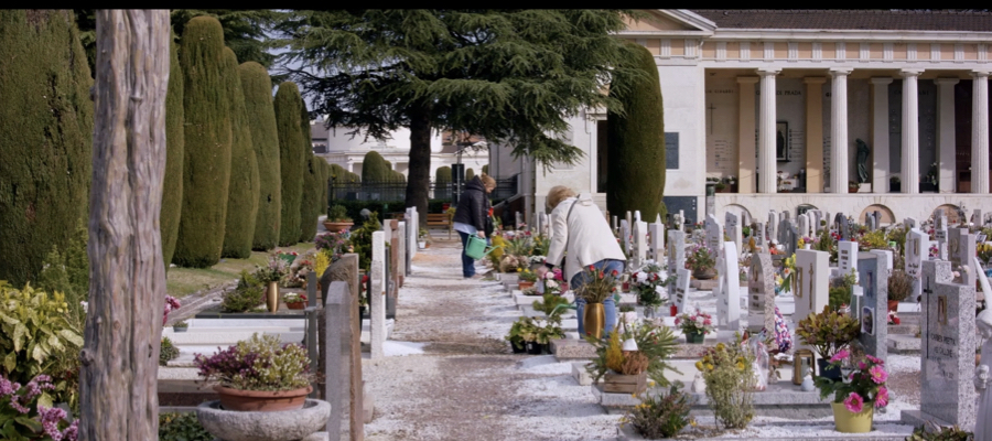 CONIGLI AL CIMITERO