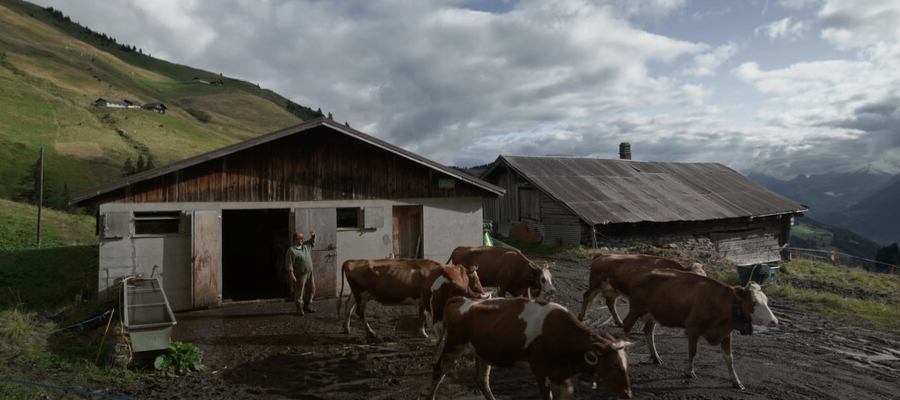 COLOSTRUM